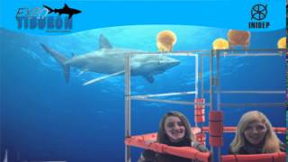 DIA 3 Expo Tiburon105