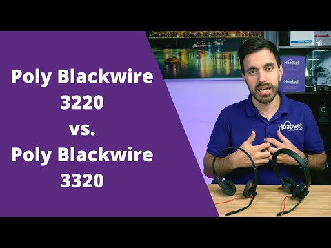 Ausinės su mikrofonu Poly C3220 video