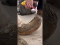EXTREME NEGLECT Horse Farrierlife Horsecare Farrier