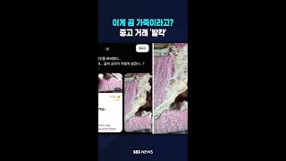 이게 곰 가죽이라고? #shorts