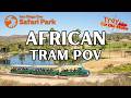 Exploring The African Tram Ride San Diego Safari Park Experience