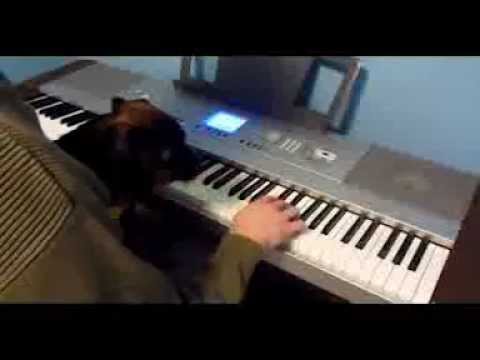 Return to Camelot by Michele McLaughlin