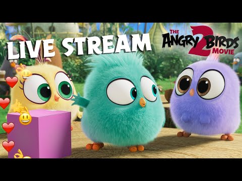 The Angry Birds Movie 2 | Live Stream Hatchlings