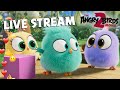 The Angry Birds Movie 2 Live Stream Hatchlings