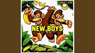 Vals Alarm - New Boys video