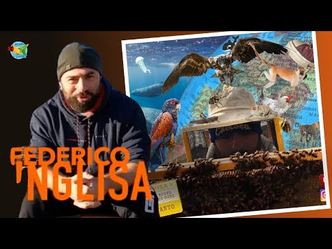 Scopri il Mondo Affascinante dell'Ape Nera Sicula con Federico