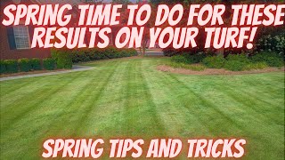 Your Warm-Season Lawn Needs This in Early Spring