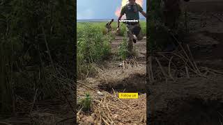Video thumbnail image