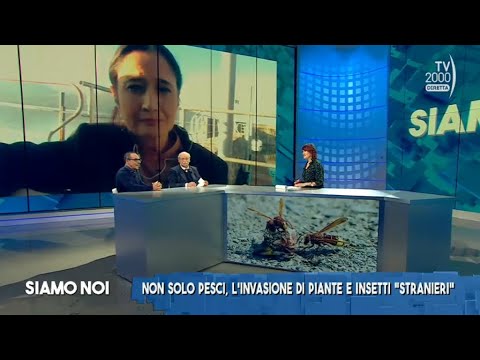 Siamo Noi, 17 novembre 2022 - Specie alloctone nel Mediterraneo: allarme biodiversità