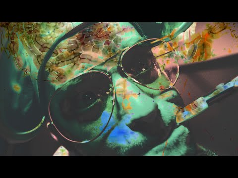 Hunter S. Johnsen in JUNGE STEIG EIN ( Fledermausland ) - JOHNSEN & LAZER PI