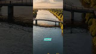 O Poder Transformador do Amor