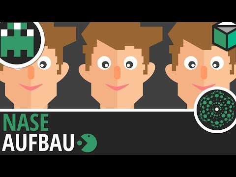 Nase-Aufbau-Humanbiologie-Biologie-Lernvideo
