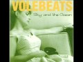 Volebeats- Somewhere in my heart 