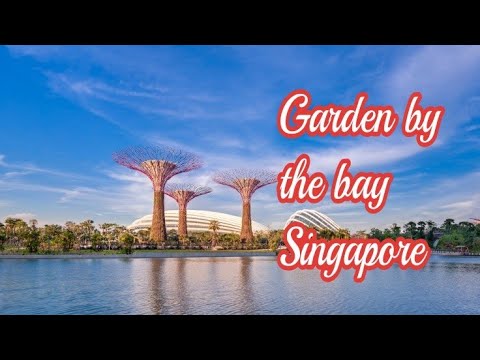 GARDENS BY THE BAY SINGAPORE | AMAZING SINGAPORE VIEWS