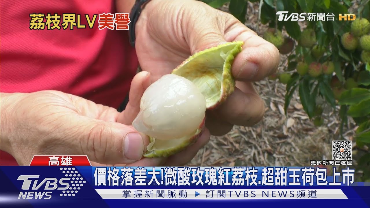 吃荔枝貨比三家!微酸玫瑰紅荔枝 超甜玉荷包上市