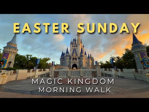 Live webcam of The Disney With Sean Show