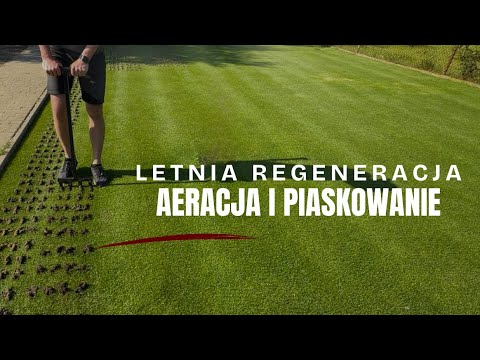 Piaskowanie i aeracja trawnika