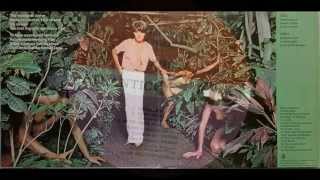 CERRONE-SUPERNATURE/SWEET DRUMS