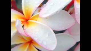 Download lagu Dil Muqaddar Se Yaar Milta Hai. mp3