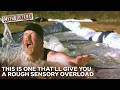 Can You Actually Swim As Fast In Syrup As In Water MythBusters