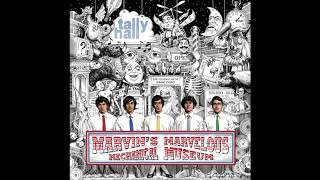 Cover art for Marvin's Marvelous  Mechanical Museum Full Album