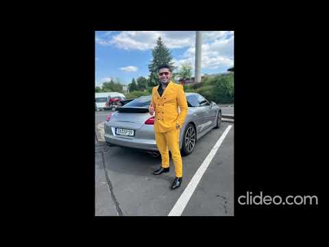 sebi De La Timisoara ||| Dedicatie Pentru Avram Printu ||| ( cover ) 2022