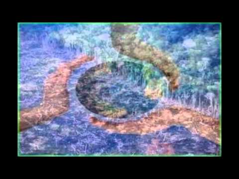 Flora Ama Flor a Natureza ( Augustto da Paz )