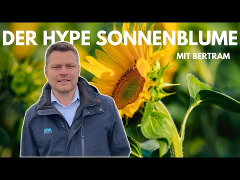 Von Experten für Profis –  Sonnenblumen 2022 – ein neuer Hype in der Landwirtschaft?