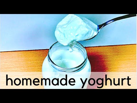 How to make Homemade Yoghurt - thick and creamy!