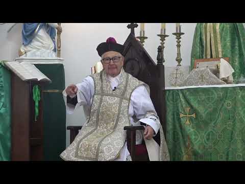 1838-Los salmos hablan de persecucion. Mentalidad ajena. La flor de la pureza. No quiten los salmos