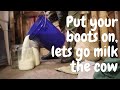 Put Your Boots On Lets Go Milk The Cow