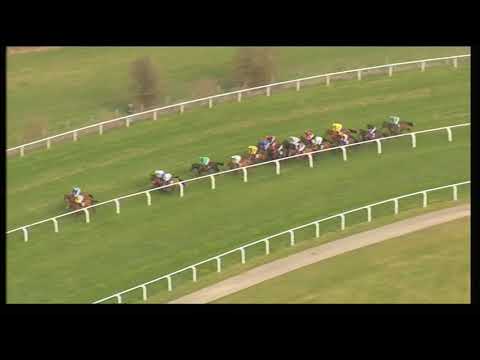 2011 Albert Bartlett Novices' Hurdle - Cheltenham Festival