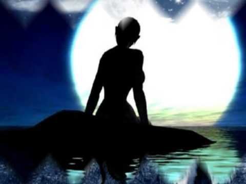 shooting for the moon-amy holland