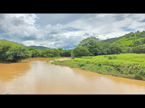✨️ FAZENDA 127.5 ALQUEIRES / DUPLA APTIDÃO A VENDA CARLOS CHAGAS-MG VOO DO DRONE ✨️