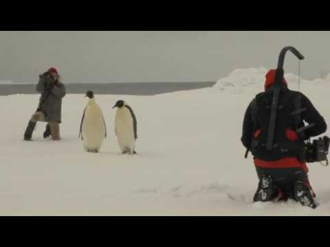 L'ODYSSÉE - extrait Making-of "tournage en Antarctique"