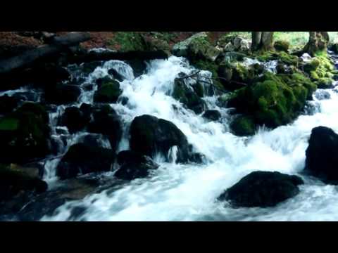 Izvoarele Cernei - 20 august 2016