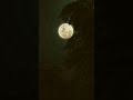Irava Pagala Bgm