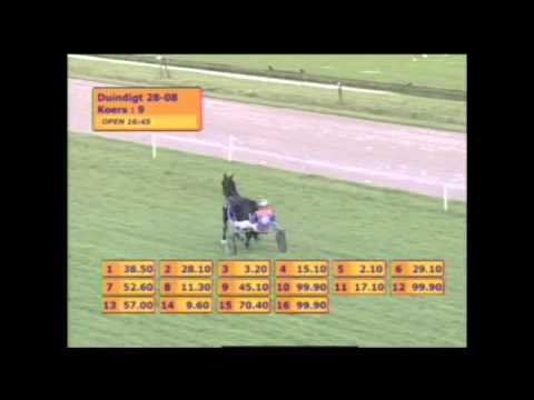 2011 Derby B - Berry's Boy (Jan van Dooyeweerd)