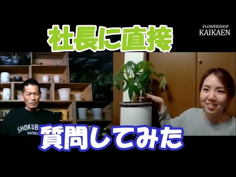 つる植物かつる植物でしょうか?違いを見分ける方法は次のとおりです トピックス