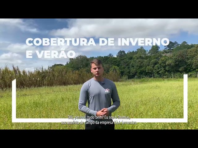 Importância da Cobertura de Solo no Inverno e Verão