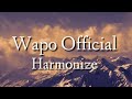 Harmonize - Wapo (Official lyrics)