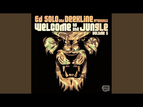 Welcome To The Jungle Vol. 5 (Continuous DJ Mix, Pt. 2)