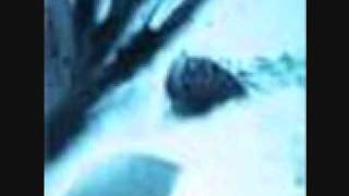 Bestiary- Funeral for an Angel