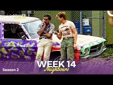 Week 14 | Episodes 236-240 | Neighbours 1986 (Season 2)