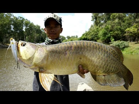 Fishing with DUO #69: Saratoga with topwater master Gong Lei