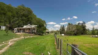 Riverside Hobby Farm on the Clarence River, Northern NSW - Darren Billett Real Estate