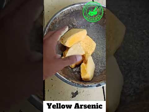 Gauri Pashana Pili Sankheya Yellow Sankheya