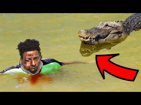 Er hat ein Krokodil vor dem Tod gerettet. Dann geschah etwas SCHRECKLICHES 😱