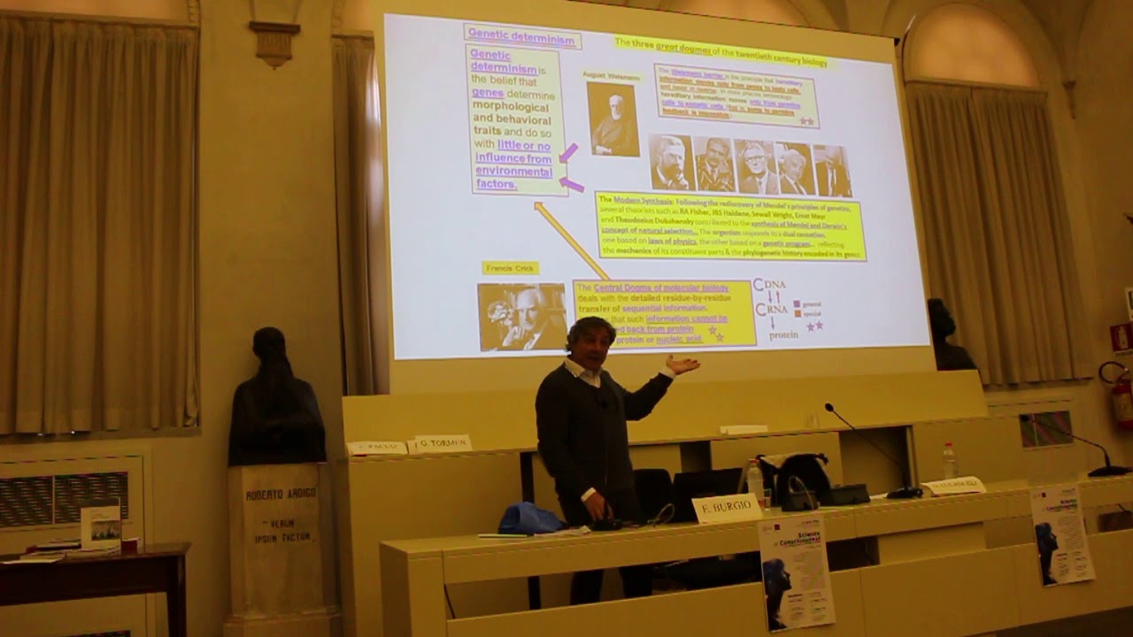 Ernesto Burgio - Evoluzione e sviluppo del cervello ed emergere della Coscienza - Parte 3