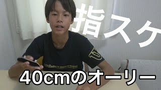 【指スケ】前回よりもオーリーがレベルアップしました！指スケ日記＃３